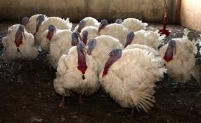 Attēlam ilustratīva nozīme.
Autors: no llkc.lv