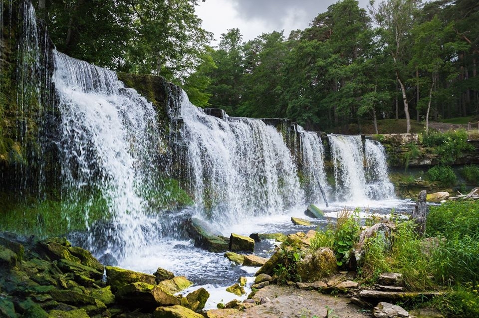 Ivars Prīsis šoreiz izstādi veltījis Igaunijas dabas skatiem.
Autors: No albuma.