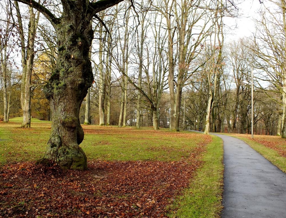 Autors: tourism.bauska.lv