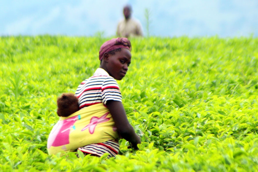 Autors: Raitis Ābelnieks