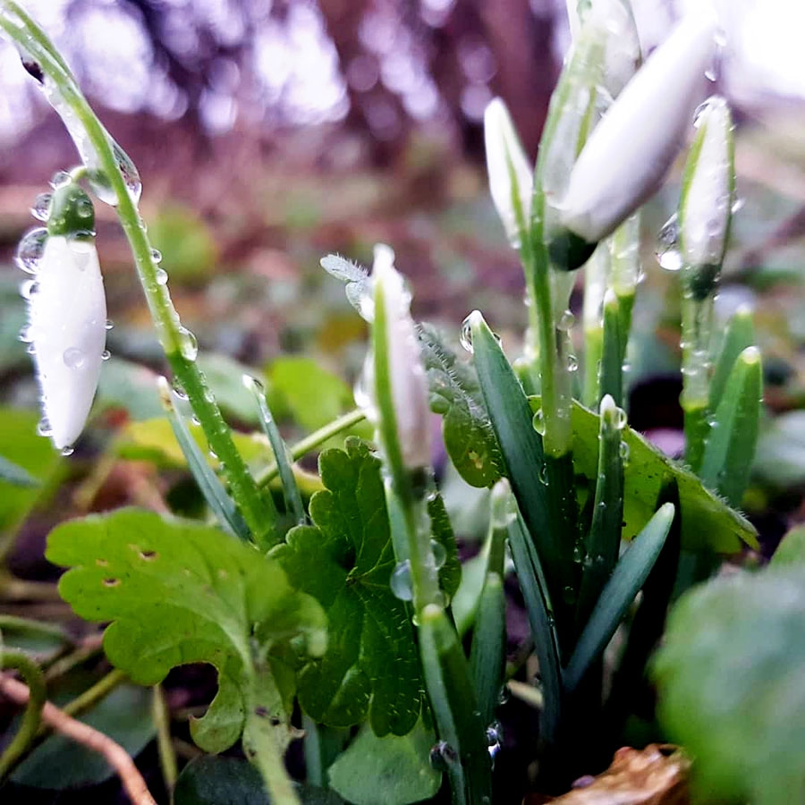10. janvārī Īslīces pagasta Rītausmās.
Autors: Aculiecinieka foto