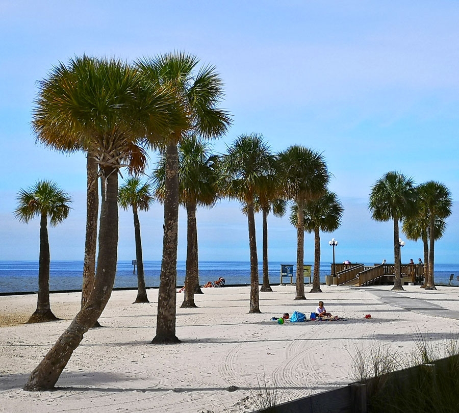 Painailendas pludmales parks Floridas štata rietumkrastā netālu no Springhilas.
Autors: Emīls Zālītis