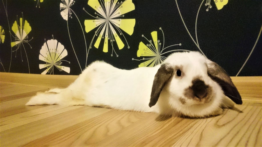 Mimī atpūtas brīdī.
Autors: no E. Kaurovas personiskā albuma