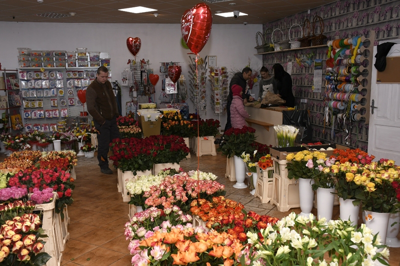 Liekas, Valentīna dienā visam jākrāsojas dzirkstoši un tumši sārtos toņos, bet mīlētāji laužot arī šo priekšstatu, jo uz nebēdu tiekot pirktas arī citu krāsu ziedi.
Autors: Ivars Bogdanovs