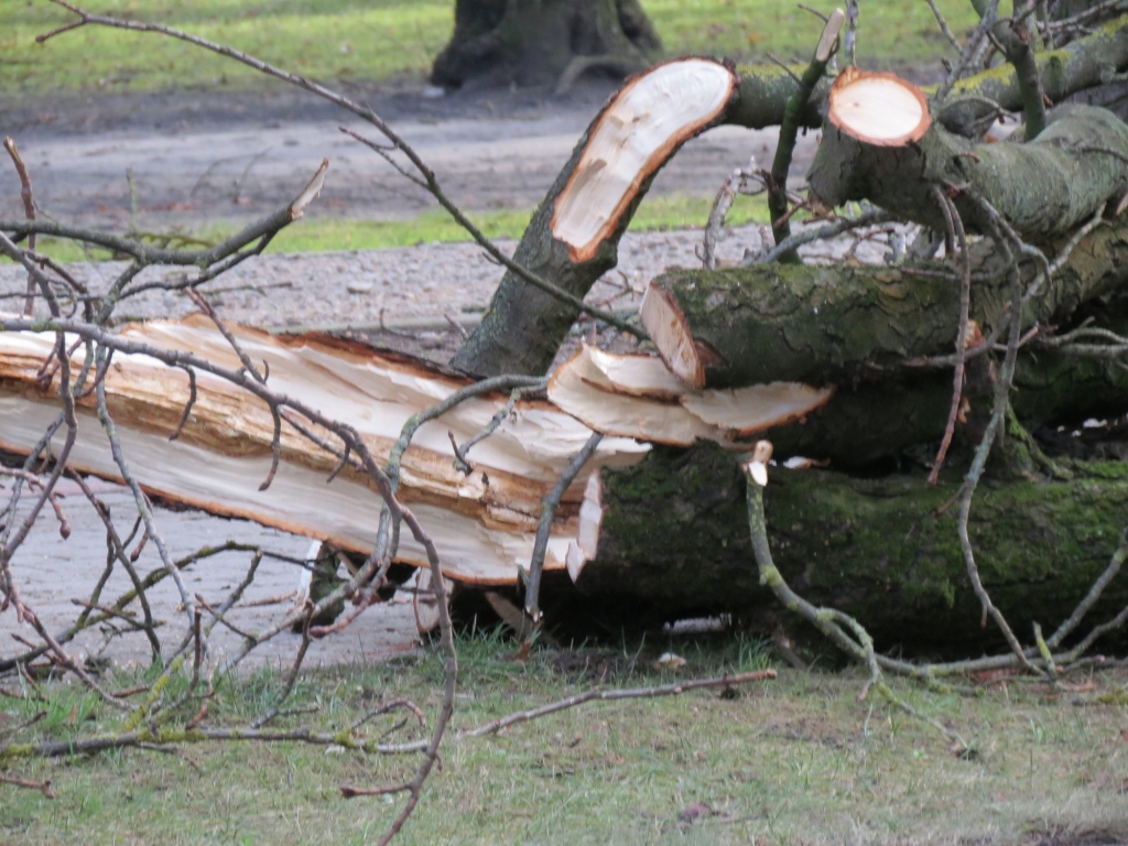 Fotoattēlam ilustratīva nozīme.