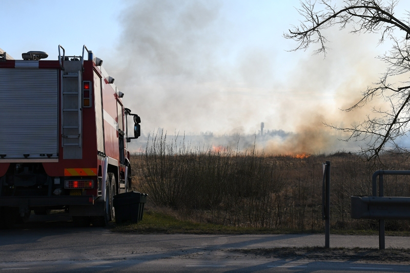 Autors: Ivars Bogdanovs