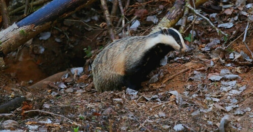 Fotoattēlam ilustratīva nozīme.
Autors: apollo.lv