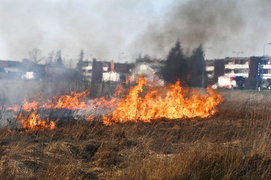 Pilsētas teritorijā dega pērnā zāle 8,2 hektāru platībā. Šīs nekoptās zemes daļa pieder Bauskas novada pašvaldībai, daļa – juridiskai personai, kam īpašuma lietas vēl tiek kārtotas.
Autors: Ivars Bogdanovs