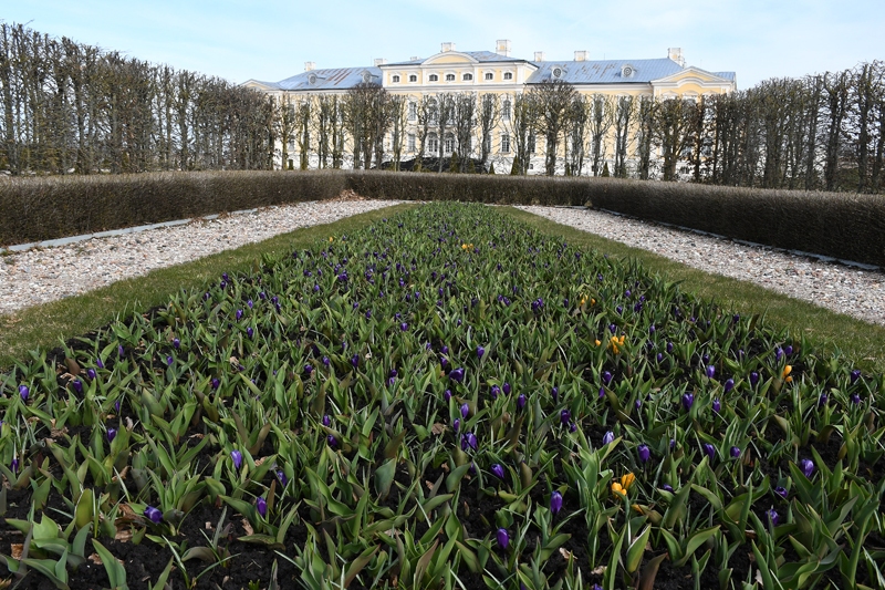 Autors: Ivars Bogdanovs