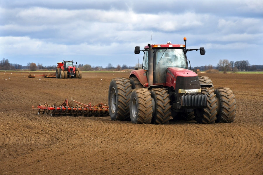 Zemnieku saimniecībā «Kaigari» Mežotnes pusē sēj vasarājus. Zemes kultivatoram nekavējoties seko sējmašīna. Līdzīgi strādā daudzās zemnieku saimniecībās. Arī SIA «Uzvara–lauks» agronoms Sergejs Kataņenko ir gandarīts par darbu gaitu un atzīst, ka augsnes gatavība sējai ļoti laba – tā ir gan irdena, gan pietiekami mitra. Vasaras kvieši «Uzvara–lauks» būs 800 hektāru platībā, bet pupas ap 200 hektāriem.
Autors: Ivars Bogdanovs