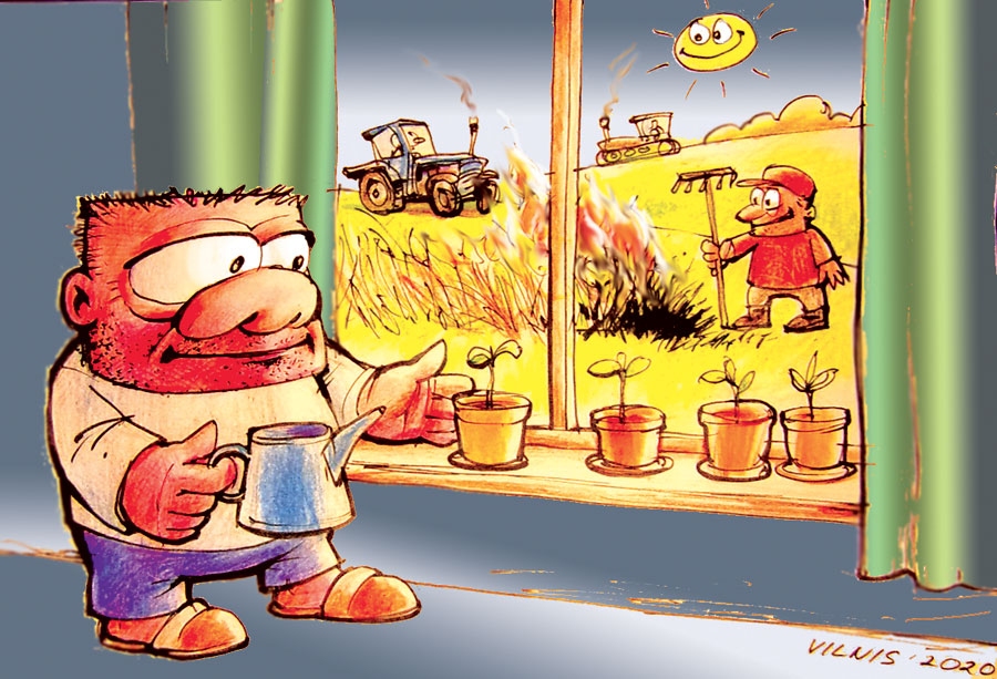 Aluksniesiem.lv raksta attēla aizvietotājs