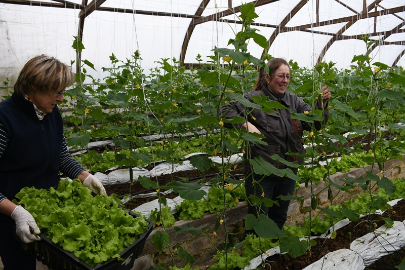 Anda Jākobsone (no kreisās) un Edīte Sprukste jauno ražu sagatavo transportēšanai uz veikalu «Rozīte» Bauskā.
Autors: Ivars Bogdanovs