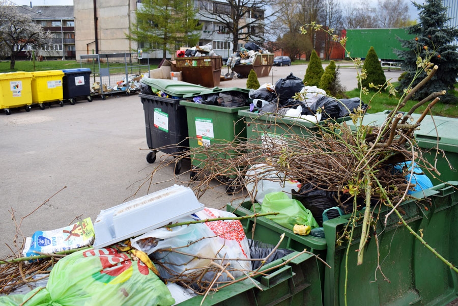 Vecumniekos kopīpašumu atkritumu novietnēs Ceriņu ielā (attēlā), Kalna un Skolas ielas stūrī, kā arī bijušajā PMK teritorijā Rīgas ielā netālu no domes ēkas konteineri svētdienas vakaros ir pārpildīti. Sadzīves atkritumiem paredzētajās tvertnēs iedzīvotāji met gan stiklu un plastmasu, gan rožu zarus un citu augu atliekas.
Autors: Žanna Zālīte