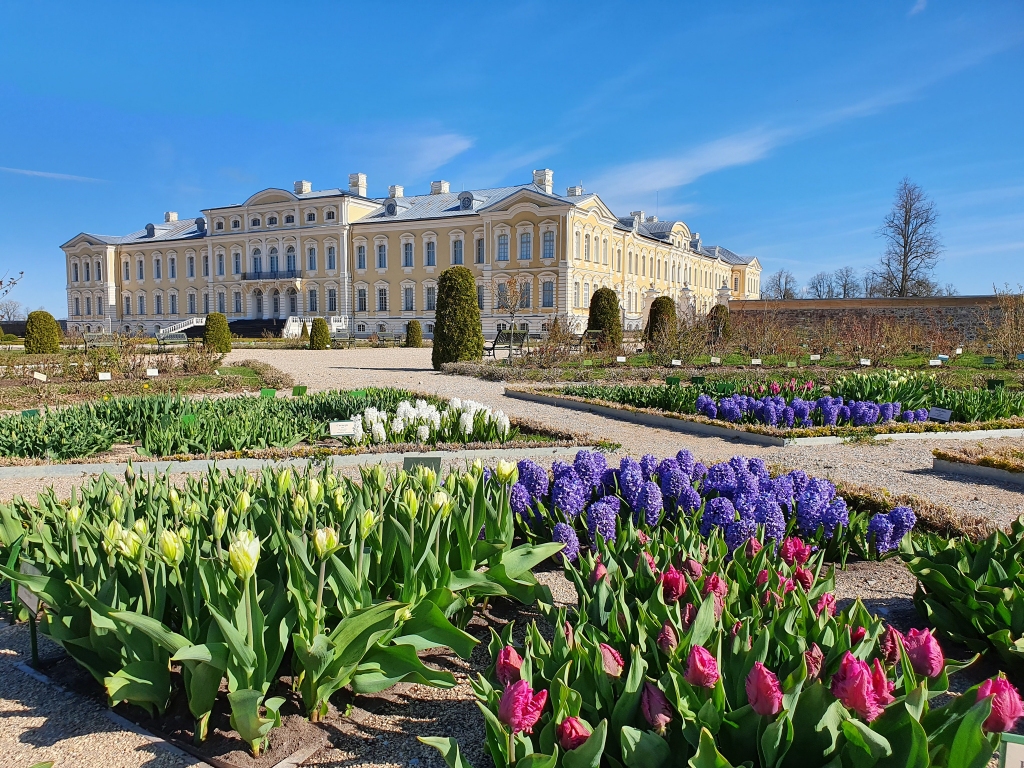 Pavasara krāšņums franču dārzā ik pa laikam tiek atrādīts sociālajos tīklos, un tas tiek darīts arī skaistajā tulpju ziedēšanas laikā.
Autors: No albuma.