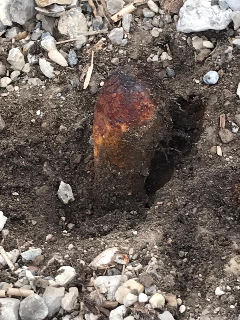 Autors: www.bauskasdzive.lv