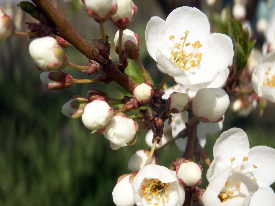 Autors: no «Bauskas Dzīves» arhīva