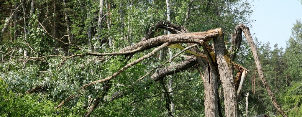 Attēlam ilustratīva nozīme.
Autors: no sadursme.lv