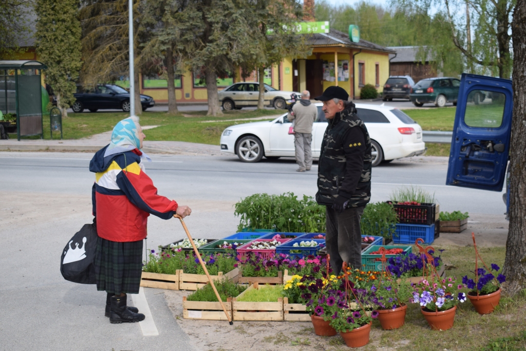 Autors: Žanna Zālīte