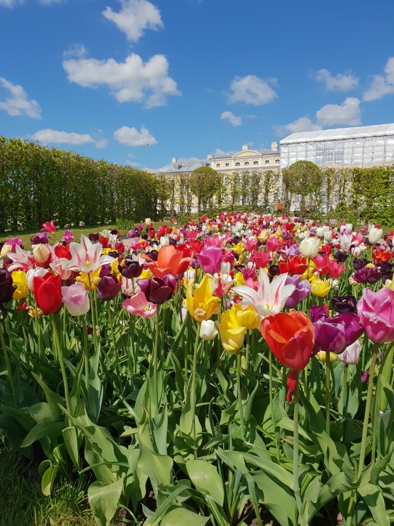 Autors: www.bauskasdzive.lv