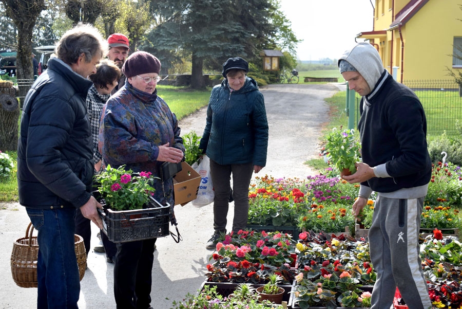 Valles tirgū puķu stādu izvēle ir plaša. Pārdevējs no Seces par katru krāšņumaugu var arī daudz pastāstīt.
Autors: no Žanna Zālīte