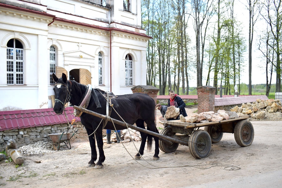 Mašinsku ģimenes ķēve Galaktika  ik dienu tiek nodarbināta dolomīta akmeņu pārvadāšanā.
Autors: Žanna Zālīte