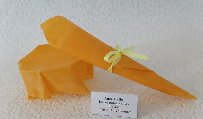 Autors: www.bauskasbiblioteka.lv