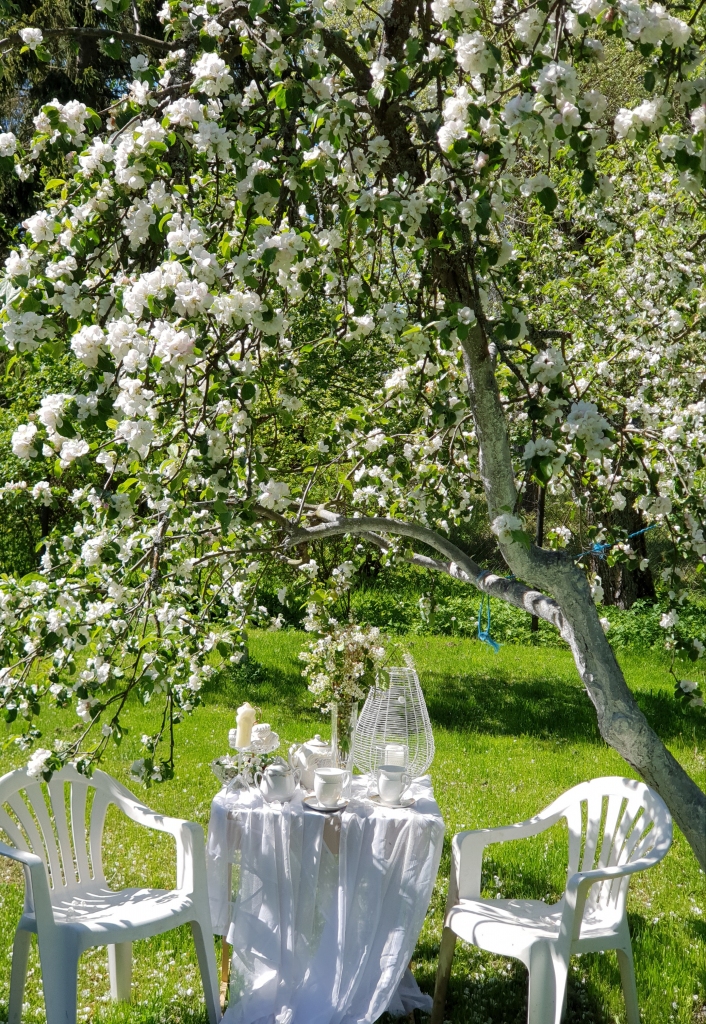 Autors: www.bauskasdzive.lv