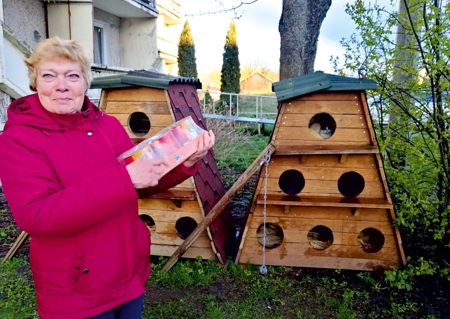 Jana Avota rūpējas par kaķu mājām Vecumniekos.
Autors: No albuma.