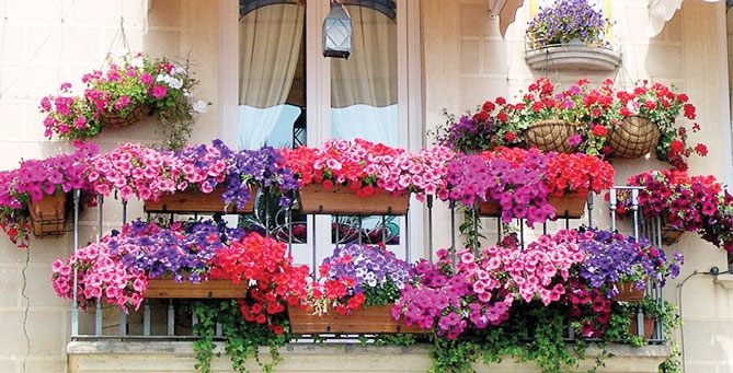 Autors: no homebnc.com.