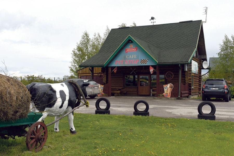 SIA «Juink» Ienākumus nodrošina arī blakus uzceltais viesu nams, kur tiek piedāvāti galdu klājumi dažādiem pasākumiem. Pagājušais gads iezīmējies kā vietējo Brunavas senioru jubileju atzīmēšanas gads. Astoņdesmit, astoņdesmit piecu gadu gaviļniekiem teju katru sestdienu klāti svinību galdi.
Autors: Ivars Bogdanovs