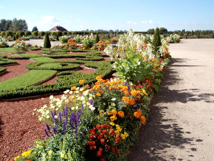 Ornamentālā partera ziedošo augu apmales dobes – arī 
I. Enkmanes lolojums.
Autors: no Rundāles pils muzeja arhīva.