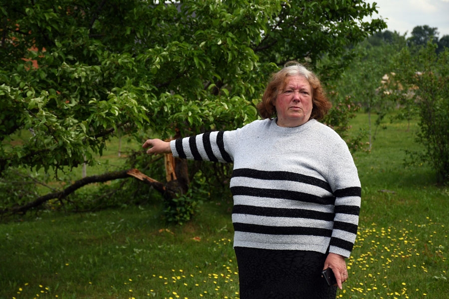 «Mīļās olu plūmes nu pagalam!» rāda saimniece Gunta.
Autors: no Ivars Bogdanovs