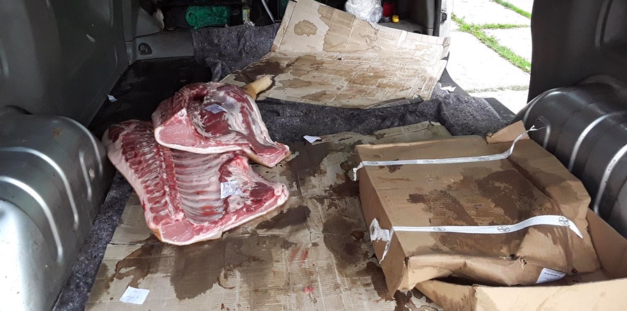 Transportlīdzeklī, ar kuru, neievērojot nekādas higiēnas prasības un temperatūras režīmu, tika pārvadāta svaiga gaļa – konstatēti 672 kg cūkgaļas un vairāk nekā 50 kg nezināmas izcelsmes putnu gaļas.
Autors: no PVD arhīva.