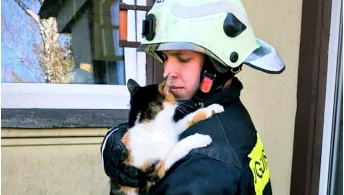 Fotoattēlam ilustratīva nozīme.
Autors: VUGD