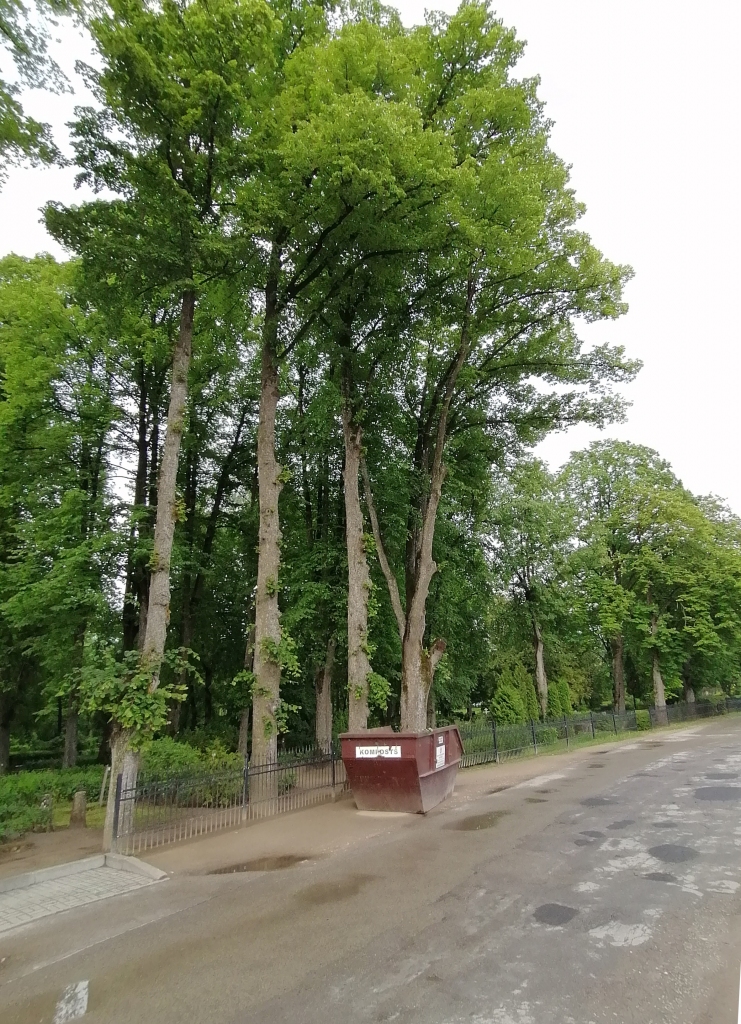 Autors: Aculiecinieka foto.