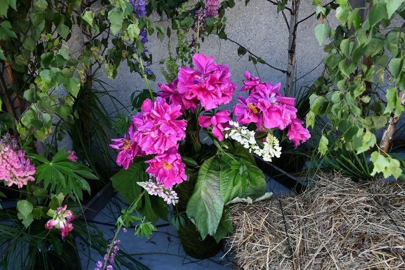 Autors: Ivars Bogdanovs