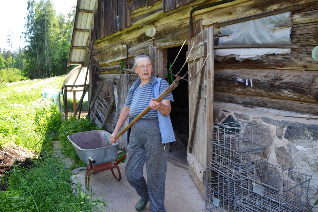 Epizode ar mēslu dakšām. Visspilgtāk Mirttantes māju saimniecei Maijai Vegnerei izdodas atainot slaveno filmas epizodi pie kūts, kur Olgas Dreģes Dagnija ar dakšām rokās kliedz Baibas Indriksones atveidotajai Olitai. «Lai visa māja dzird, kādu meitu tu esi uzaudzinājusi!» Maija prot sulīgi citēt aktierus katrā filmēšanas vietā.
Autors: Sandra Apine, ekrānšāviņi no «Youtube», kadri no filmēšanas