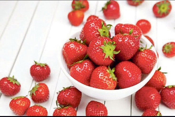 Autors: no indiamart.com.