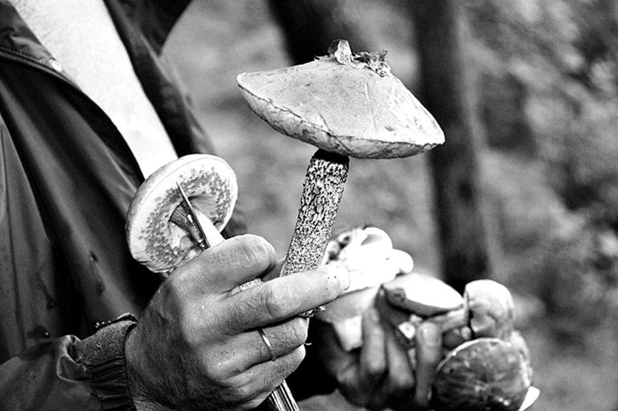 Autors: Dainis Ģelzis