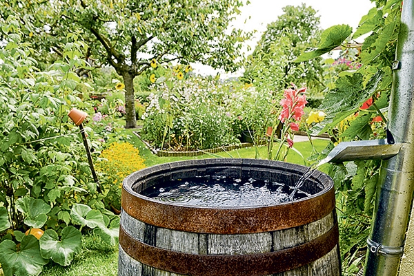 Autors: no refinedexteriors.com