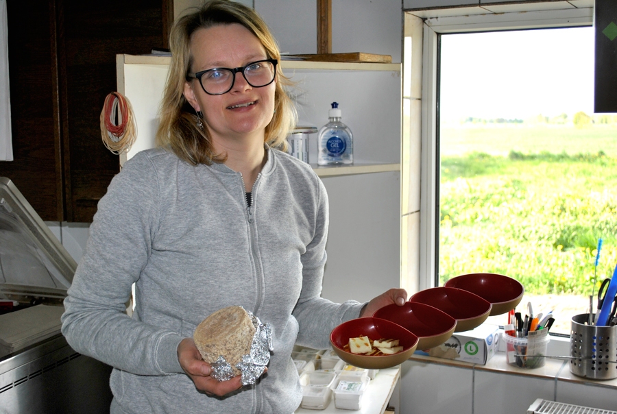 Sieram no aitu piena ir maigāka struktūra nekā no govs vai kazas piena gatavotajam.
Autors: Ruta Keiša