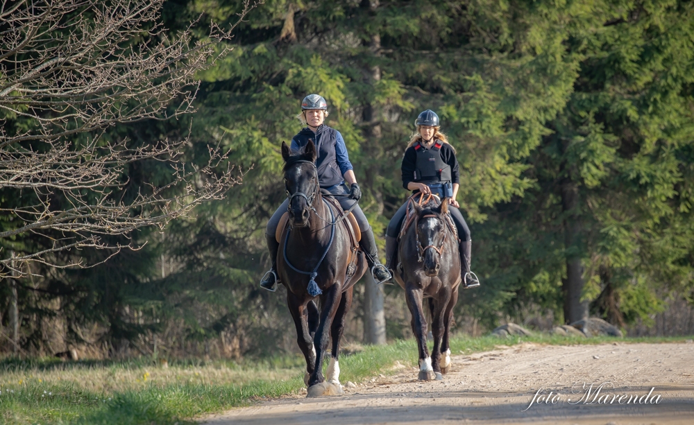 Projekta galvenās dalībnieces – Līga Vilne ar zirgu Prīmu un Kristina Runce ar zirgu Dempsiju.
Autors: Marenda Zapolska