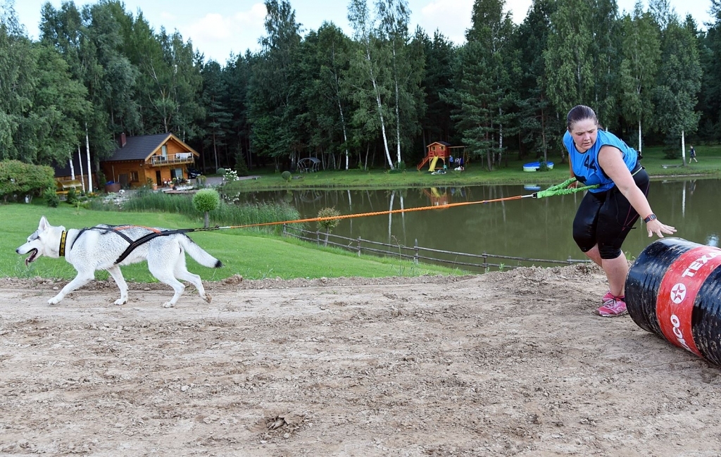 Autors: Uldis Varnevičs