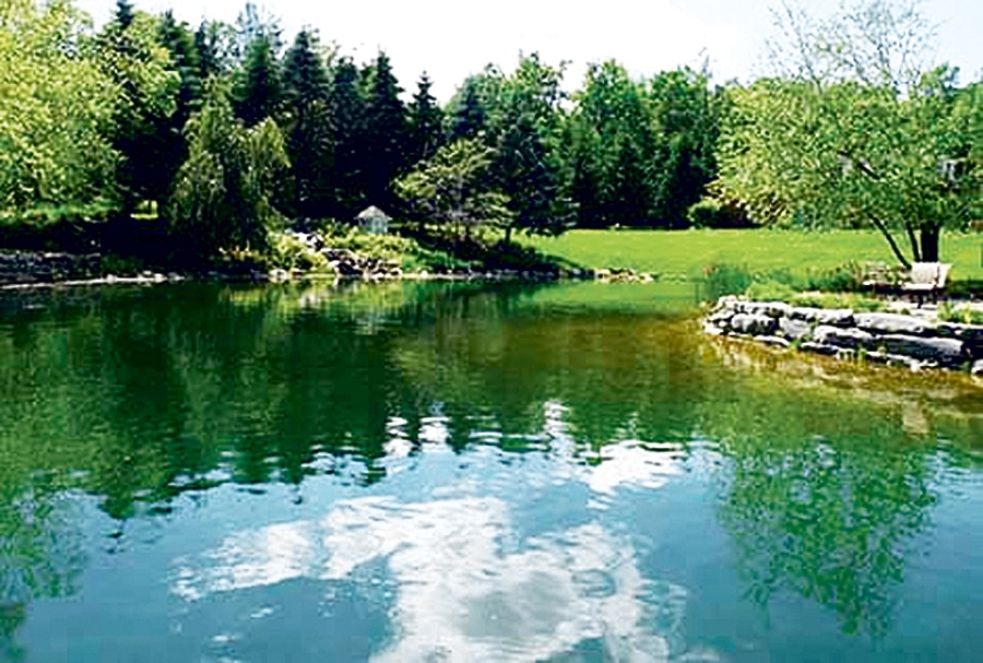 Autors: no realradio804.com