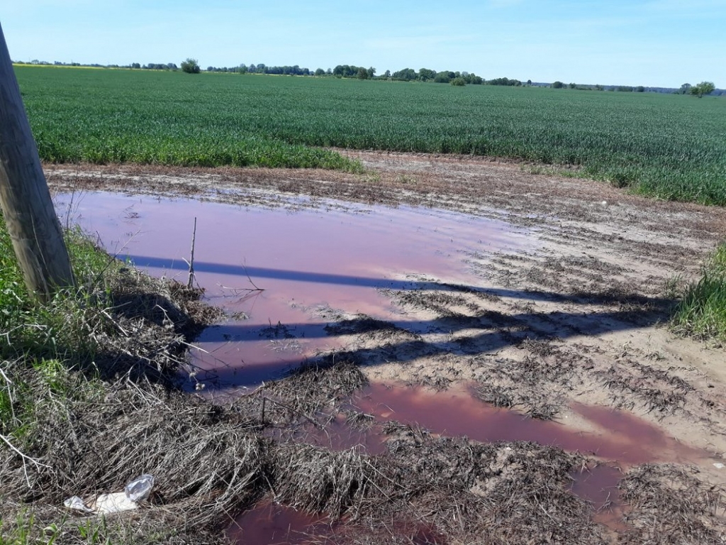 Autors: Judīte Čunka/LTV