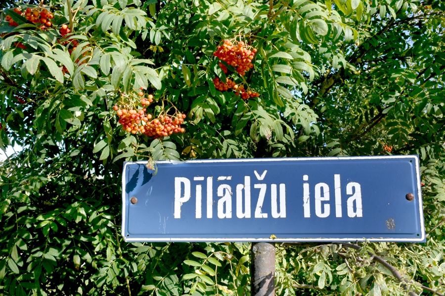 Pīlādžu ogu ķekari vēl rotā Pīlādžu ielas uzrakstu.
Autors: Ivars Bogdanovs