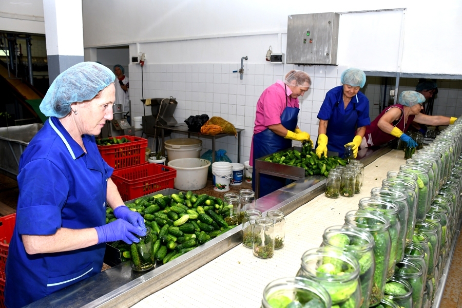 Natālija Sokolova uzņēmumam uzticīga vairāk kā 
40 gadu. Sākumā gurķi marinēti vien trīslitru burkās un garšai īpaša vērība nav pievērsta. Tagadējie esot daudz baudāmāki, atzīst pieredzējusī «Kroņa» darbiniece.
Autors: Ivars Bogdanovs