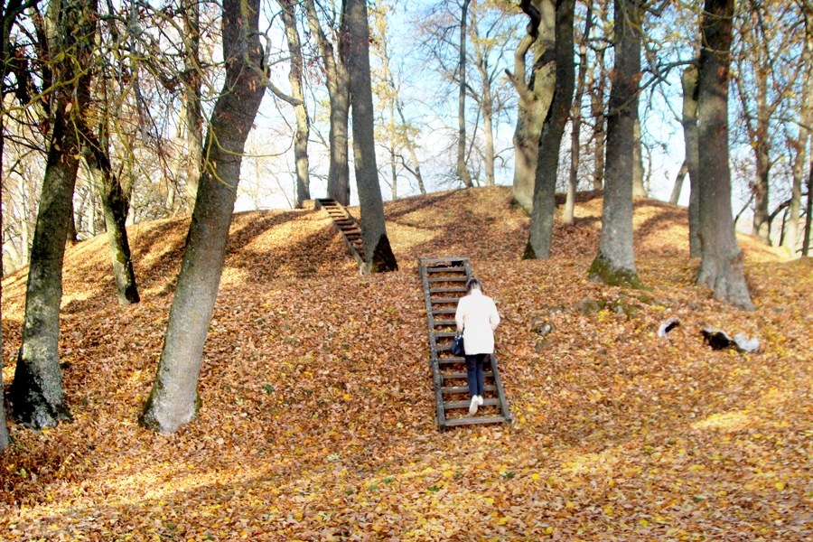 Ažolpamūšes pilskalna aizsargvaļņi: pirmais saglabājies 1,5 metru, otrais – 3,5 metru augstumā. Uz šiem vaļņiem kādreiz bijušas koka aizsargbūves, starp vaļņiem – aizsarggrāvis.
Autors: Raitis Ābelnieks