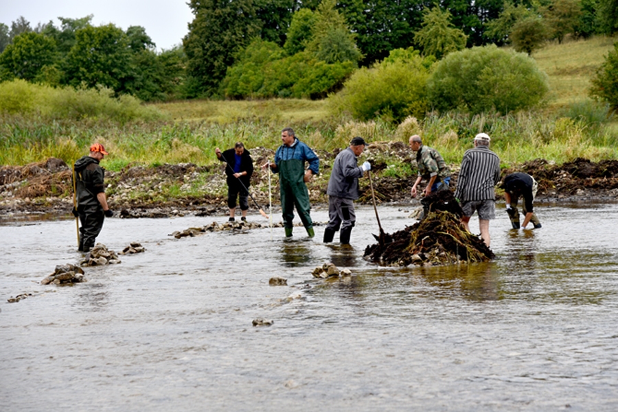 Upes tīrīšanas talkā vīri veidoja akmens šķēršļus un tīrīja upi no apauguma.
Autors: Uldis Varnevičs
