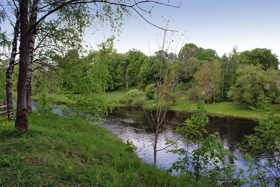 Mēmele. Attēlam ilustratīva nozīme.
Autors: no 